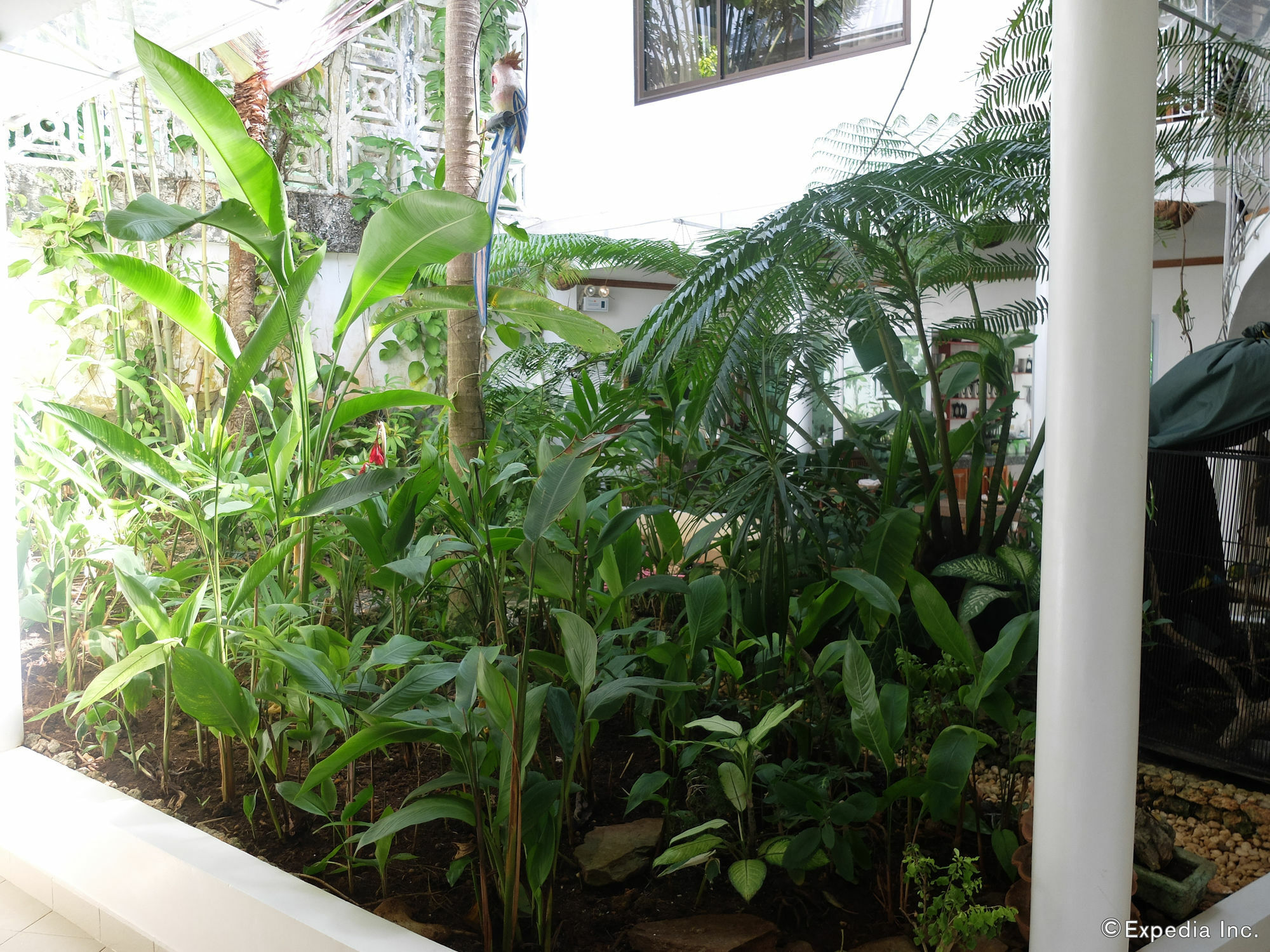 Argonauta Apartment Suites Yapak Ngoại thất bức ảnh